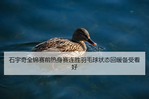 石宇奇全锦赛前热身赛连胜羽毛球状态回暖备受看好